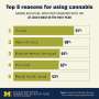 Cannabis and older adults: Poll shows current use patterns, beliefs and risks