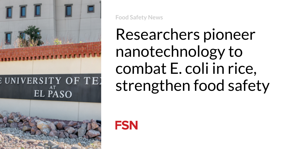 Researchers pioneer nanotechnology to combat E. coli in rice, strengthen food safety